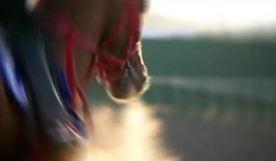 Şok Eden İddia: Sakatlanan Yarış Atı Smart Latch Kavurma mı Oldu? Mersin Belediyesi Aşevinde Skandal!