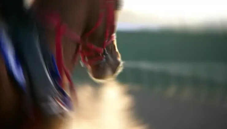 Şok Eden İddia: Sakatlanan Yarış Atı Smart Latch Kavurma mı Oldu? Mersin Belediyesi Aşevinde Skandal!