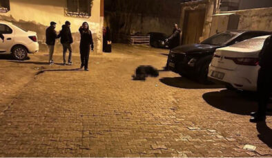 Şırnak Cizre’de Silahlı Saldırı: Nuh Nebi Camii Yakınında Bir Kişi Başından Vuruldu