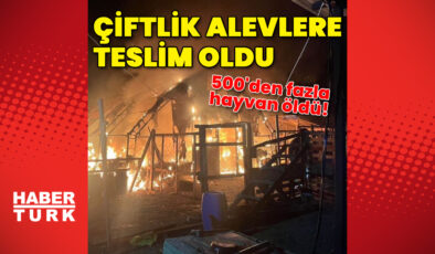 İnegöl’de Çiftlik Yangını: 580 Hayvan Hayatını Kaybetti, Yangın Nedeni Araştırılıyor