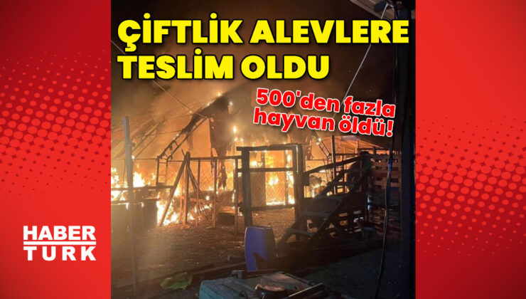 İnegöl’de Çiftlik Yangını: 580 Hayvan Hayatını Kaybetti, Yangın Nedeni Araştırılıyor