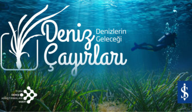 Deniz Çayırları: İklim Değişikliğiyle Mücadelenin Gizli Kahramanları Tehlike Altında