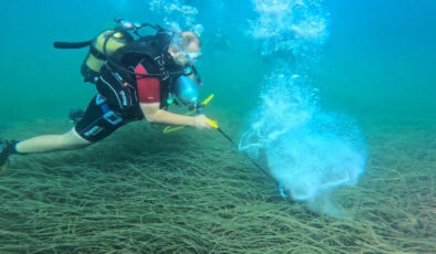 Garanti BBVA ve TURMEPA’dan Mavi Nefes: Deniz Çayırları Koruma Çalışmaları ve Başarıları