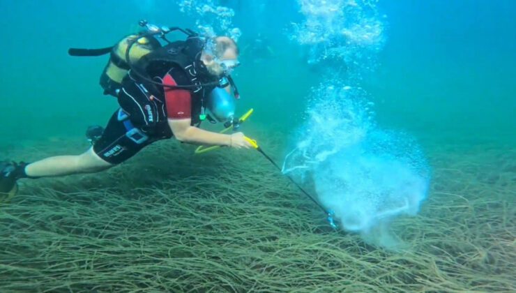 Garanti BBVA ve TURMEPA’dan Mavi Nefes: Deniz Çayırları Koruma Çalışmaları ve Başarıları