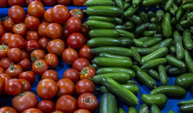 Rusya’nın Sebze Meyve Tedarik Rotası Yeniden Türkiye’ye Döndü: İhracat 10 Günde Hız Kazandı