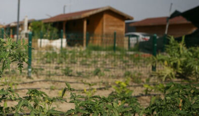 AK Parti’den Hobi Bahçelerine Büyük Darbe: Tarım Arazileri Koruma Altına Alınıyor