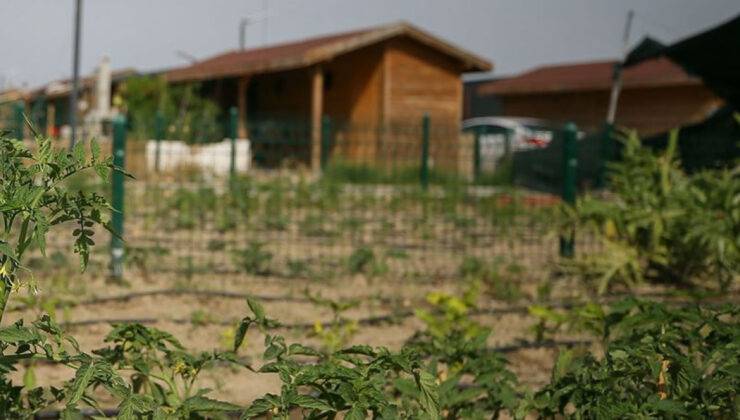 AK Parti’den Hobi Bahçelerine Büyük Darbe: Tarım Arazileri Koruma Altına Alınıyor