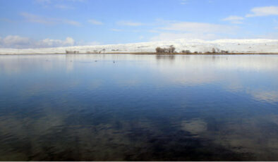 Sivas’ta Balık Avı Yasakları Başlıyor: Hangi Türler, Ne Zaman Avlanamayacak?