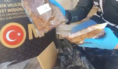 79 İlde Yasa Dışı Tütün Operasyonu: 337 Şüpheli Hakkında İşlem Yapıldı, 100 Milyon TL’lik Vergi Kaybı Önlenerek 42 İmalathane Deşifre Edildi