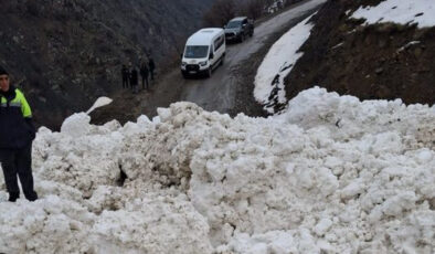 Van Çatak’ta Çığ Felaketi: Korulu Mahallesi ve 8 Mezraya Ulaşım Kesildi