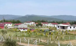 Tarım Arazilerini Koruma Hamlesi: AK Parti’den Hobi Bahçelerine Sıkı Denetim