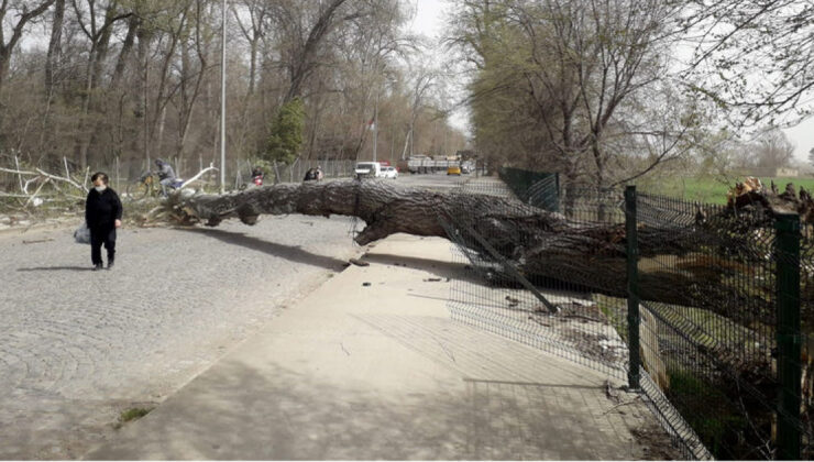 Marmara’yı Fırtına Bekliyor: İstanbul, Tekirdağ ve Diğer İller İçin Uyarı!