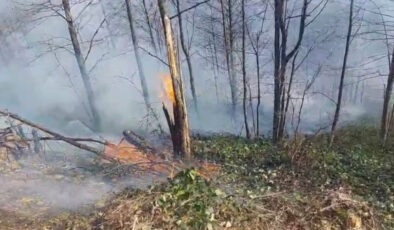 Kastamonu Üniversitesi’nden Orman Yangınlarına Karşı Bilimsel Çözüm: Hibrit Makine Öğrenmesi ile Risk Haritaları ve İklim Projeksiyonları