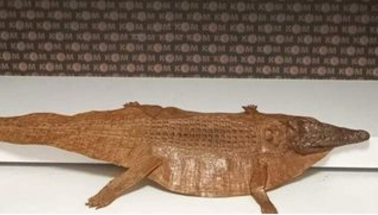 Afyonkarahisar’da Polis Timsah Derisi Ele Geçirdi: İki Kişi Gözaltına Alındı