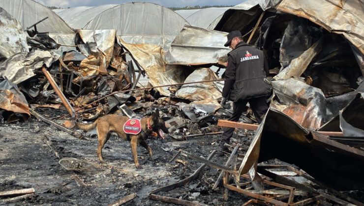 Antalya’daki Konteyner Yangınında 7 Aylık Hamile Anne ve 5 Çocuğu Hayatını Kaybetti: Cenazeler Suriye’ye Gönderilecek