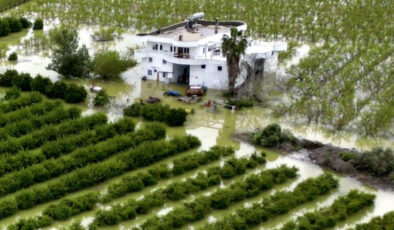 Mersin Tarsus’ta Sağanak Tarım Arazilerini Vurdu: Çiftçiler Zararda