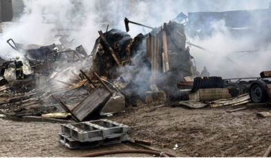 Kocaeli’de Ahır Yangını: 50 Küçükbaş Hayvan Hayatını Kaybetti