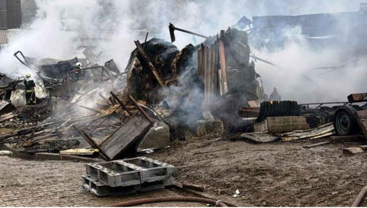 Kocaeli’de Ahır Yangını: 50 Küçükbaş Hayvan Hayatını Kaybetti