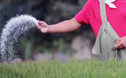 Ortadoğu’daki Askeri Gerilim Gıda Krizini Tetikliyor: Gübre Fiyatları Fırladı, Küresel Gıda Güvenliği Tehlikede