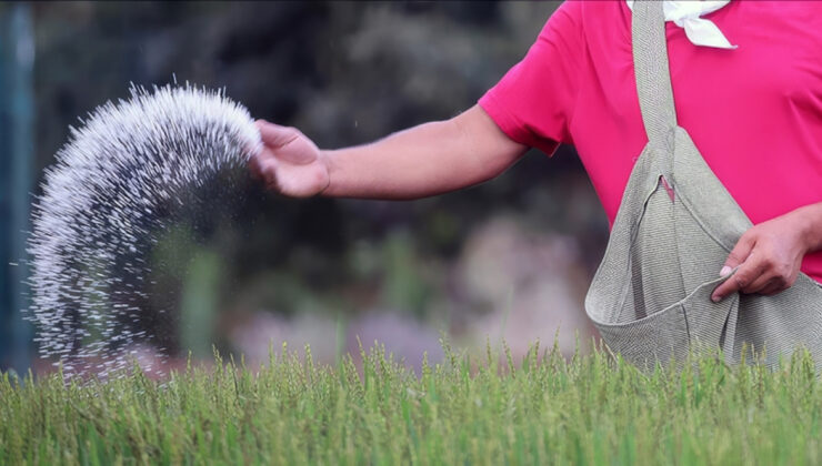 Ortadoğu’daki Askeri Gerilim Gıda Krizini Tetikliyor: Gübre Fiyatları Fırladı, Küresel Gıda Güvenliği Tehlikede