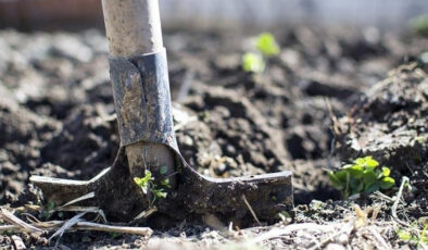 Rusya’dan Gübre İhracatına Kısıtlama: Küresel Gıda Güvenliği Tehlikede mi?