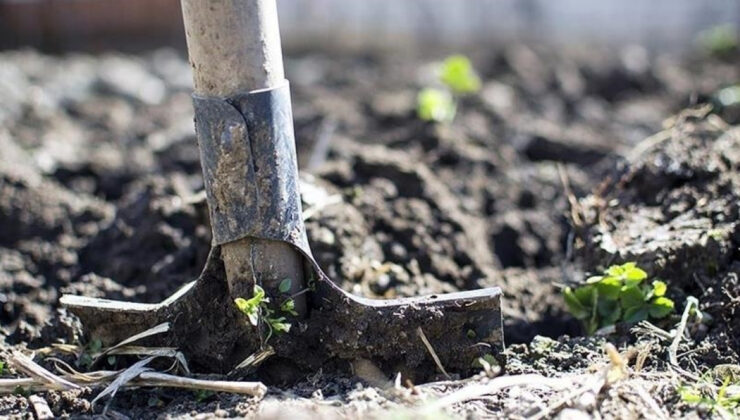 Rusya’dan Gübre İhracatına Kısıtlama: Küresel Gıda Güvenliği Tehlikede mi?