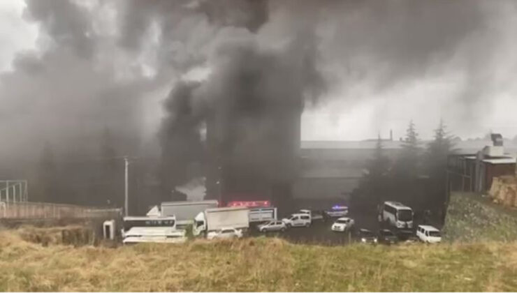 Trabzon’da Fındık Fabrikasında Yangın: İtfaiye Ekipleri Müdahale Ediyor