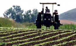 Savaşın Gölgesinde Tarım: Gübre ve Mazot Fiyatları Zirveye Tırmandı, Çiftçiler Endişeli