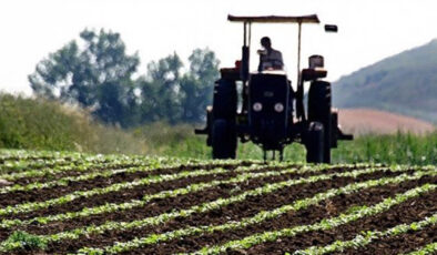 Savaşın Gölgesinde Tarım: Gübre ve Mazot Fiyatları Zirveye Tırmandı, Çiftçiler Endişeli