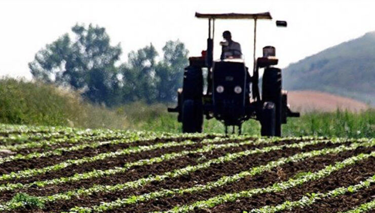 Savaşın Gölgesinde Tarım: Gübre ve Mazot Fiyatları Zirveye Tırmandı, Çiftçiler Endişeli