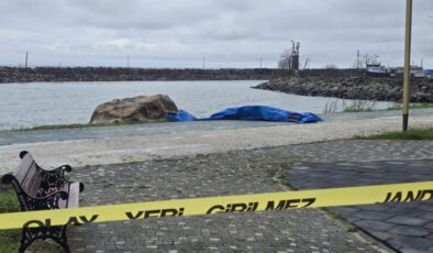 Ordu’da Sahile Vuran Gizemli Cihaz: İnsansız Hava Aracı mı, Deniz Aracı mı?