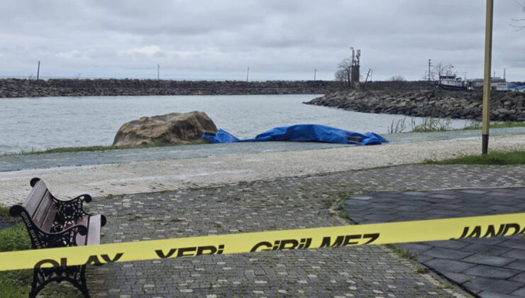 Ordu’da Sahile Vuran Gizemli Cihaz: İnsansız Hava Aracı mı, Deniz Aracı mı?