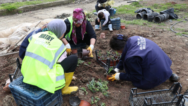 Hatay Büyükşehir Belediyesi’nden Sürdürülebilir Üretim Hamlesi: Bitki İhtiyacı Kendi Kaynaklarıyla Karşılanıyor