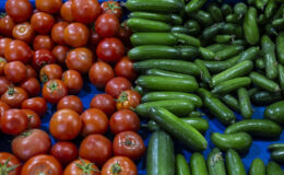 Şubat Ayının Zam ve İndirim Şampiyonları: TÜİK Verileriyle Fiyat Değişimleri