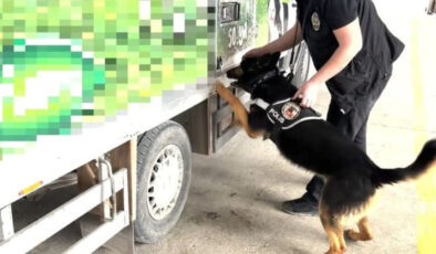 Van’da Uyuşturucu Operasyonu: Kamyonette 90 Kilo Uyuşturucu Ele Geçirildi, Bir Kişi Gözaltına Alındı