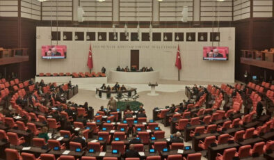 Çeltik, Alkol ve Orman Düzenlemelerini İçeren Yasa Teklifi TBMM’den Geçti: İşte Detaylar