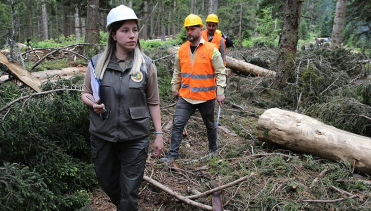 Kamu Çalışanlarına Toplu Taşımada Ücretsiz Ulaşım Müjdesi: 2027’ye Kadar Geçerli