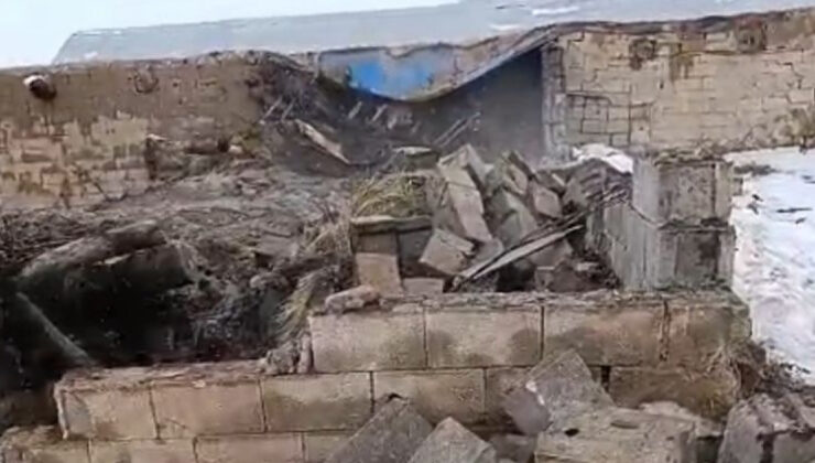 Van’da Aşırı Yağış Felaketi: Ahır Çöktü, 20 Küçükbaş Hayvan Telef Oldu