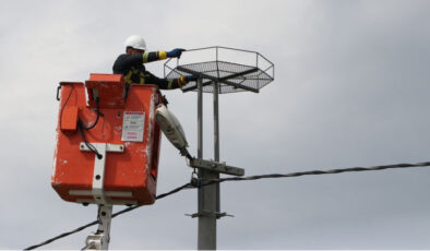 TREDAŞ’tan Göçmen Kuşlara Güvenli Güzergah: Leylekler İçin 1000’den Fazla Platform