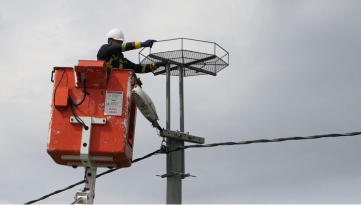 TREDAŞ’tan Göçmen Kuşlara Güvenli Güzergah: Leylekler İçin 1000’den Fazla Platform