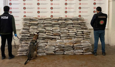 Gümrük Kapılarında Uyuşturucu Operasyonları: 484 Kilogram Maddeye El Konuldu, Çok Sayıda Gözaltı