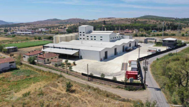 Aivalos CEO’sundan Büyük Hedefler: Zeytinyağında 3 Kat Büyüme ve Global Pazarlara Açılım