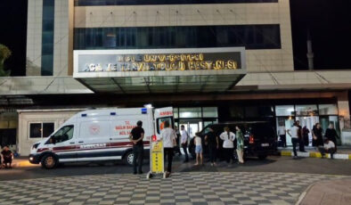 Kocaköy’de Kanlı Cinayet: Eşini Öldüren Şahıs Yakalandı, Dayısı Yaralı