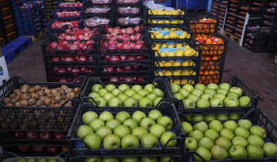 Ticaret Bakanlığı’ndan Hal Denetimleri: Vergi Kaçağı ve Fiyat Şişirmesine Geçit Yok!