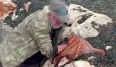 İzmir’de Balıkçıdan Şaşırtan Av: Kıyıdaki Ahtapotu Çıplak Elle Yakaladı!