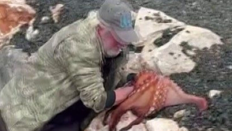 İzmir’de Balıkçıdan Şaşırtan Av: Kıyıdaki Ahtapotu Çıplak Elle Yakaladı!