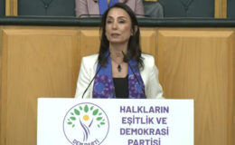 DEM Parti’den Epstein Dosyası Çıkışı ve Ortadoğu’daki Gelişmelere Dair Değerlendirmeler