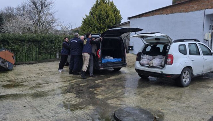 Silivri’de Korkunç Operasyon: 306 Kilo At Eti Ele Geçirildi, 3 Kişi Gözaltında