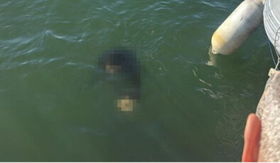 İzmir’de Akülü Sandalyesiyle Denize Düşen Engelli Vatandaş Hayatını Kaybetti