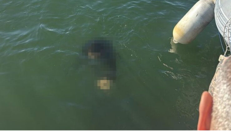 İzmir’de Akülü Sandalyesiyle Denize Düşen Engelli Vatandaş Hayatını Kaybetti